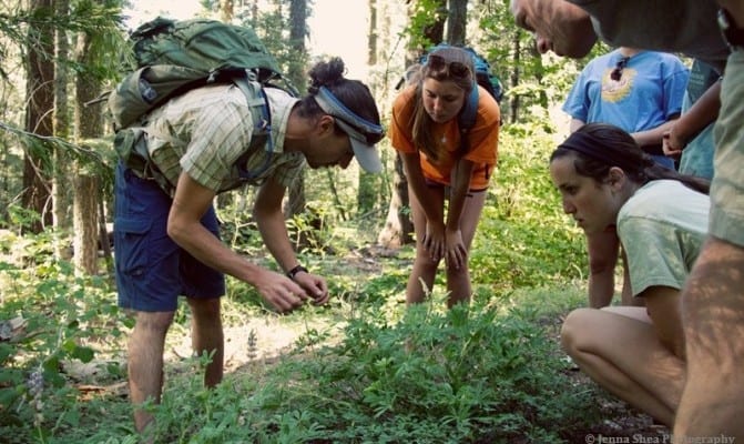 Botany top 10 degrees to get Botany top 10 degrees to get