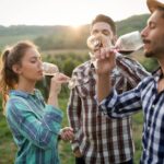 Photo of people enjoying wine on a Napa and Sonoma Wine Country Tour
