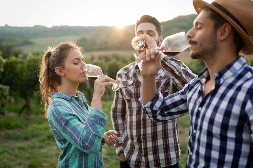 Photo of people enjoying wine on a Napa and Sonoma Wine Country Tour