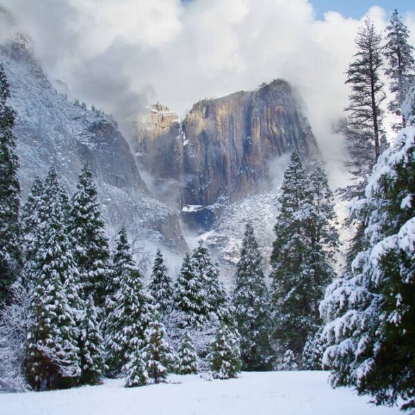 Photo of Yosemite winter landscape: perfect for snowshoeing yosemite