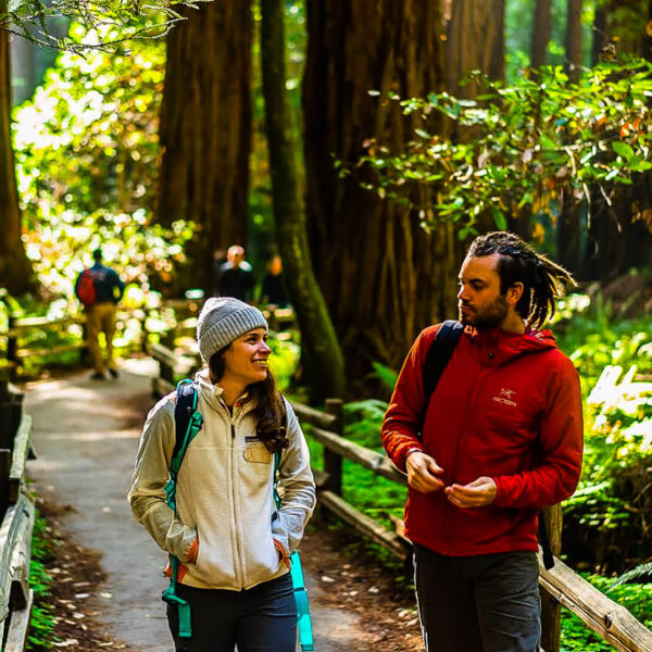 Two people walking through a redwood forest on a Small group tour from San Francisco.