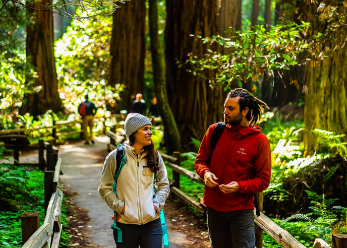 Two people walking through a redwood forest on a Small group tour from San Francisco.