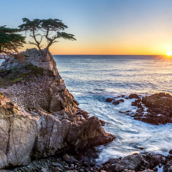 Sunset over a rocky coastline with waves crashing against cliffs and a lone tree atop a promontory during one of the Carmel by the Sea tours.