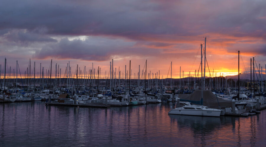 A small group of sailboats docked in a marina in San Francisco.