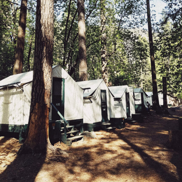         Description: Explore the mesmerizing beauty of Yosemite National Park with our unforgettable tours! Located in California, just a few hours away from San Francisco, Yosemite offers an incredible experience for nature enthusiasts and adventure