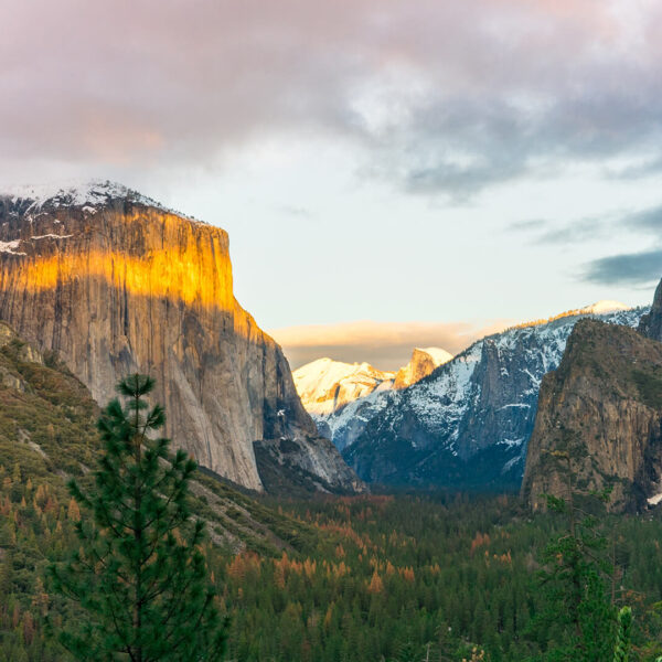 Yosemite National Park in California is a breathtaking destination perfect for exploring on small group tours.