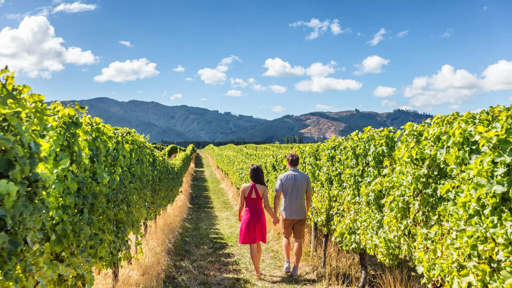 A couple enjoying a small group tour through a vineyard in New Zealand.