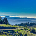 A scenic view of a mountain with fog and trees, perfect for small group tours near San Francisco.