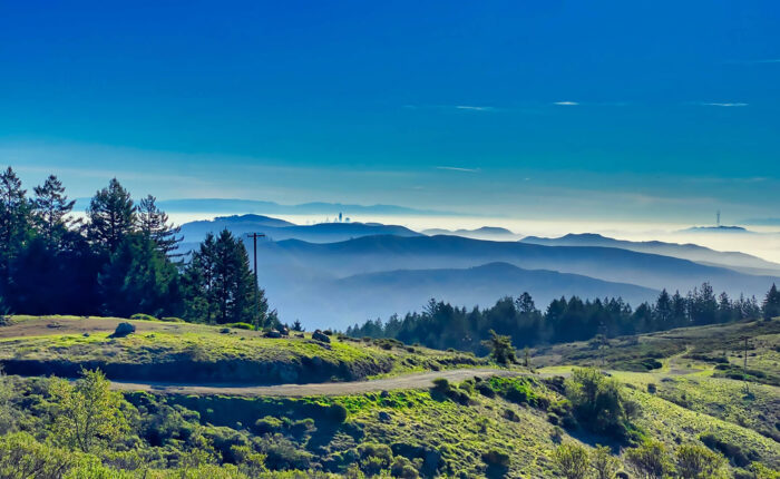A scenic view of a mountain with fog and trees, perfect for small group tours near San Francisco.