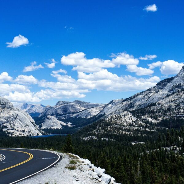 A mountain road in Yosemite National Park, perfect for small group tours starting from San Francisco.