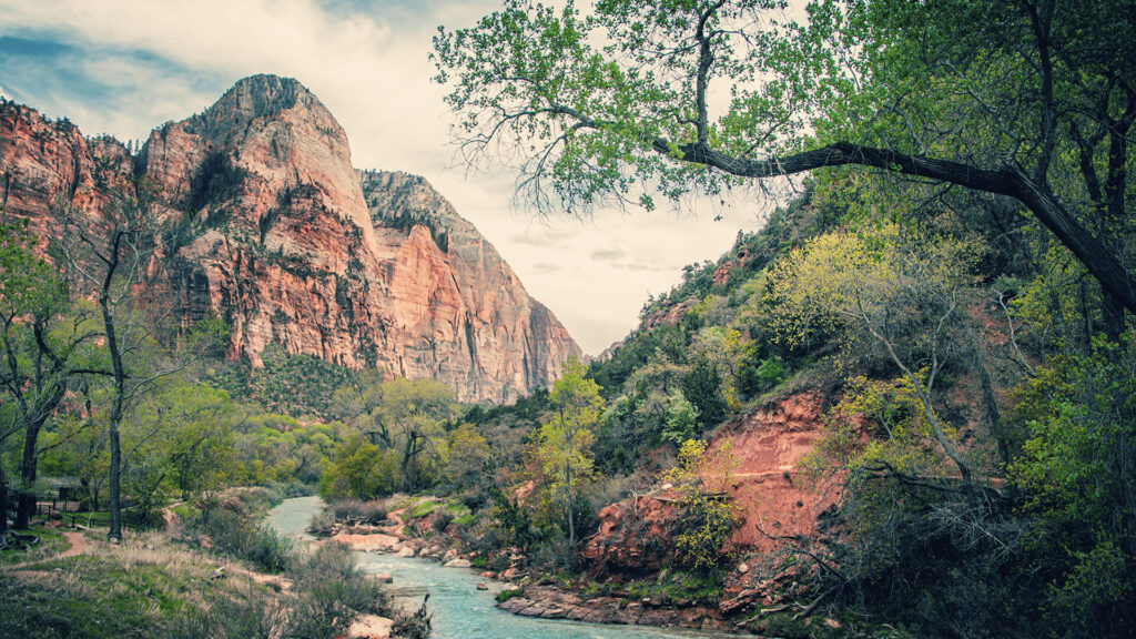 Explore the stunning landscapes of Zion National Park on one of our Small Group Tours in California.
