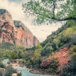 Explore the stunning landscapes of Zion National Park on one of our Small Group Tours in California.