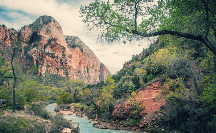 Explore the stunning landscapes of Zion National Park on one of our Small Group Tours in California.