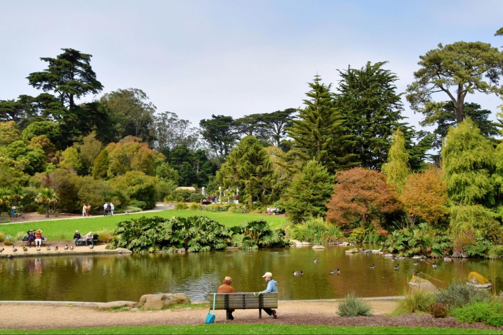 San Francisco Botanical Garden, one of the top 5 urban hikes in San Francisco, California.