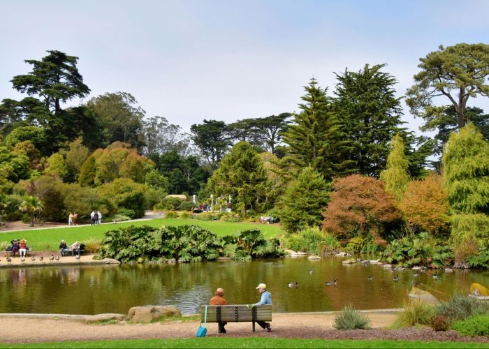 San Francisco Botanical Garden, one of the top 5 urban hikes in San Francisco, California.