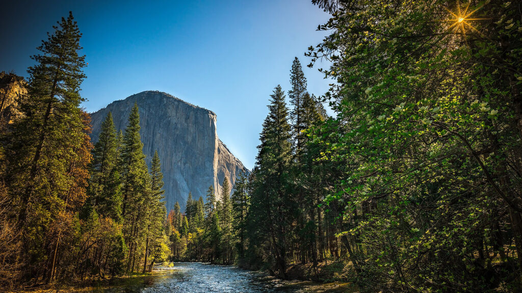 Sunlight flares through trees beside a tranquil river with El Capitan rising in the background at Yosemite National Park, offering a good vantage point for non-hikers.