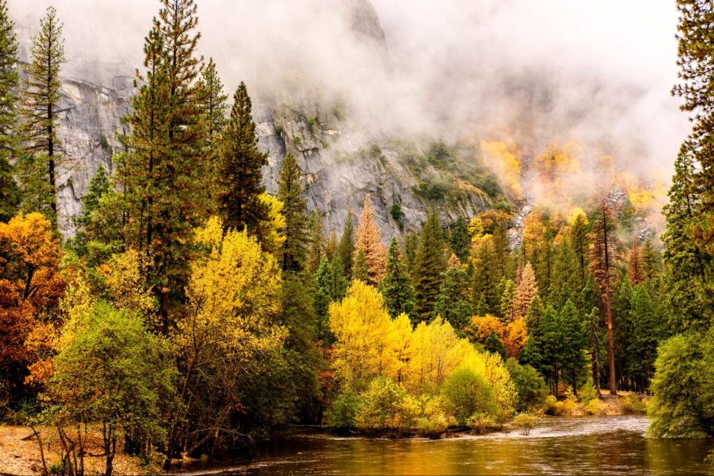 A river flows through a forest with trees showing vibrant autumn colors, under a misty sky with a rocky mountain backdrop.