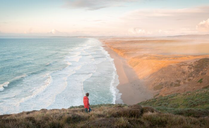 A person in a red jacket stands on a cliff overlooking a wide sandy beach with waves, reminiscent of the serene beauty found on a Muir Woods and Sausalito tour. The landscape is bathed in soft light under a partly cloudy sky.