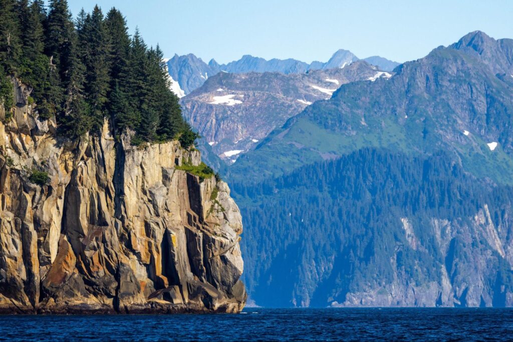 A cliffside forest with conifer trees overlooks a calm sea, with the rugged beauty of Alaska's Denali in the background under a clear blue sky.