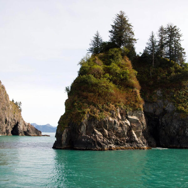 Rocky islands with trees in a calm, turquoise sea, under an overcast sky.