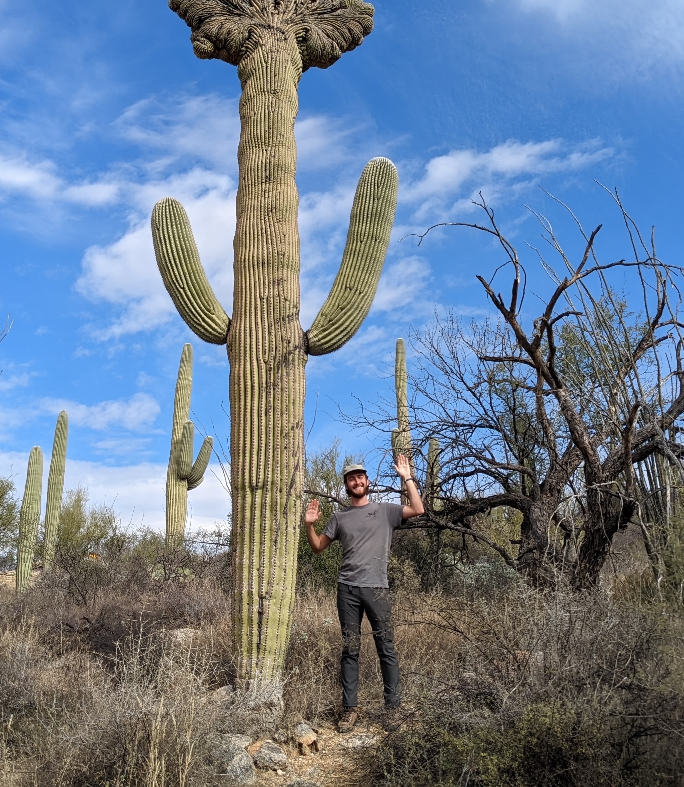 Lawton Bryant stands beside a tall cactus with arms raised in a desert landscape, under the vast blue sky.