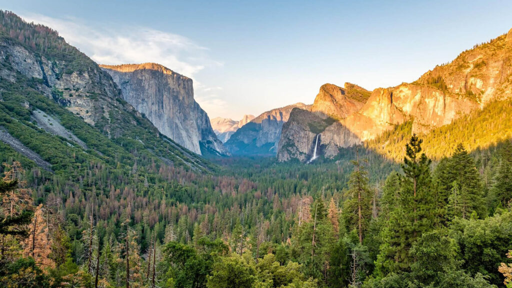 A scenic West Coast valley with dense green forests, tall cliffs, and distant waterfalls under a clear sky, viewed at sunset or sunrise—a perfect National Park escape for your travel style.