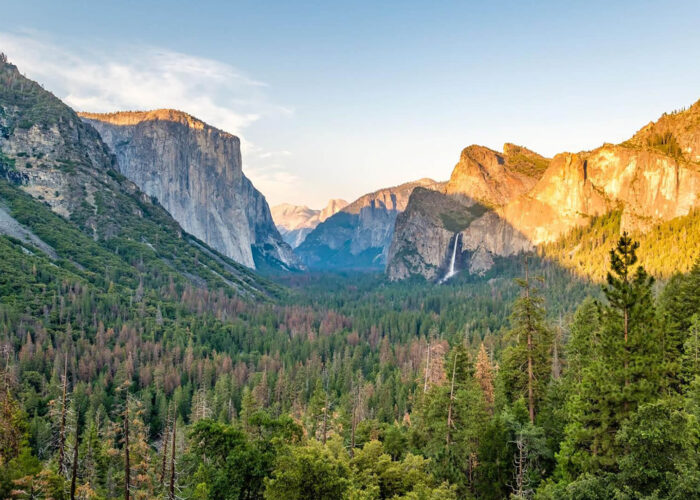 A scenic West Coast valley with dense green forests, tall cliffs, and distant waterfalls under a clear sky, viewed at sunset or sunrise—a perfect National Park escape for your travel style.