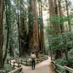 Muir Woods